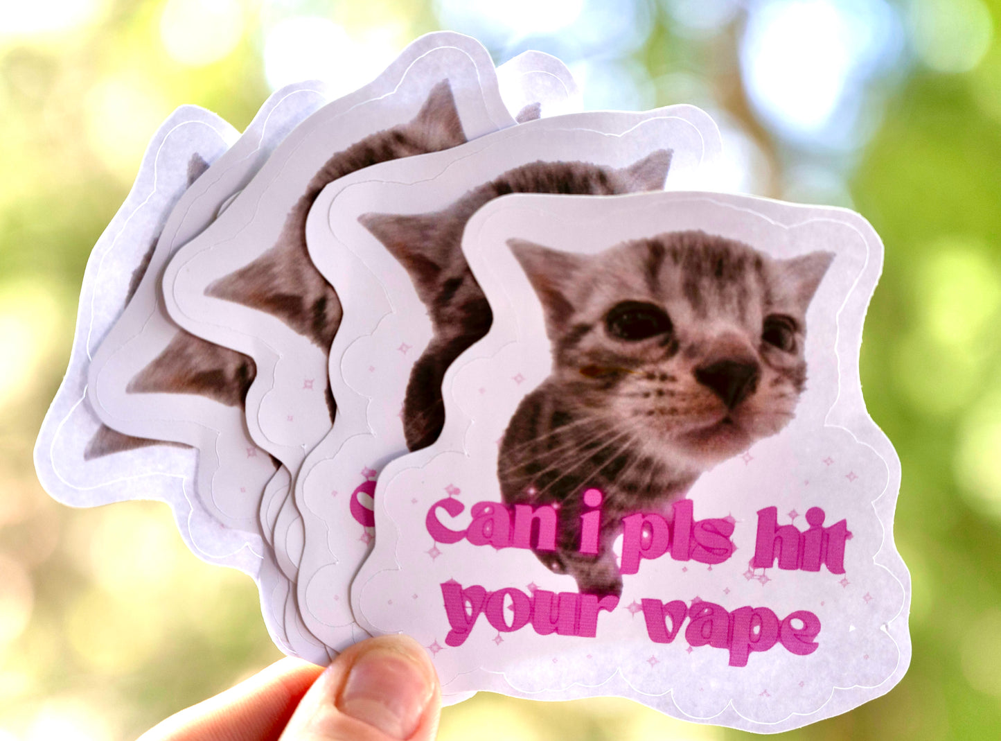 Polite Cat - Glossy Sticker